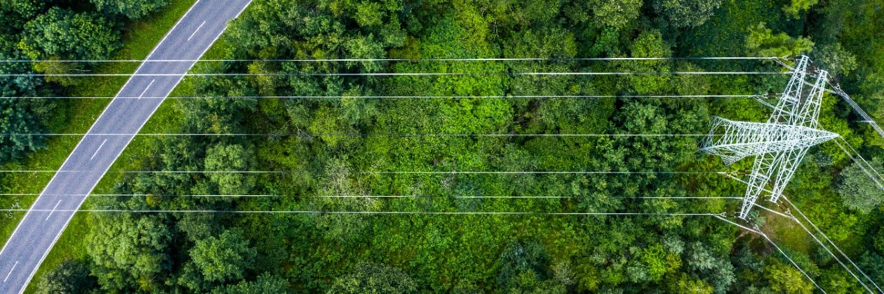 green grid